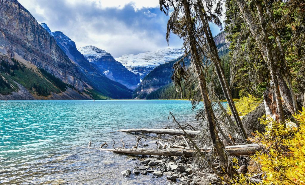 Things to do in Lake Louise